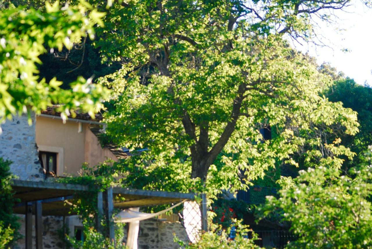 Le Moulin D'Arcas. Bed & Breakfast Prémian Eksteriør bilde